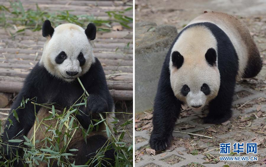 ����ٛ���T����؈�x�� �AӋ5�³��w�����T