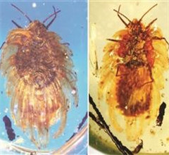 ���x������r(sh��)�����z���� 1�|��������