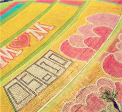 ��¡�Ą�(chu��ng)�@��ӭ��ĸ�H��(ji��) 12�f(w��n)֧�L(f��ng)܇ƴ�ɾ޷�����ܰ