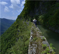 ���^����ӡ�����������ɽ�еġ��t������