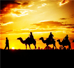 �ػͬF����� ��ϼ�Ӱ���@��ɫ�L��