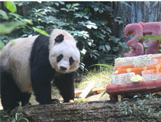 �鴵��⾹���� ���ٛ��ٛ�_����؈Ȥ��