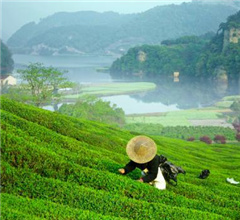 �㽭�²��c���G���ɽ� ������+�����츻��C���w