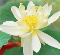 ���ա���˯��600���ɏ�_��