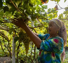 ���������������ˣ����۹����ɴ��_ʼ