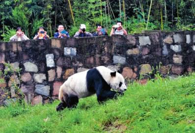 �ο͂��顰���ǡ����ա�