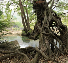 �B�T(m��n)���B��(qi��ng)���Ř�(sh��)�����^����(sh��)���L(zh��ng)50�׏�19���L(zh��ng)��4��