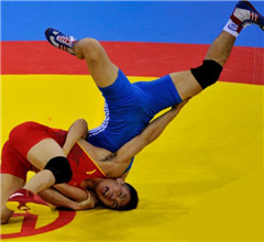 ���\(y��n)��(hu��)���Hʽˤ�ӽ��𾫲�����