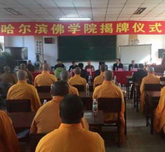 �����I��̌WԺ�������W���{٩