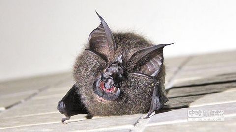 �_������@ӭ�������Ѵ����������A�С�������