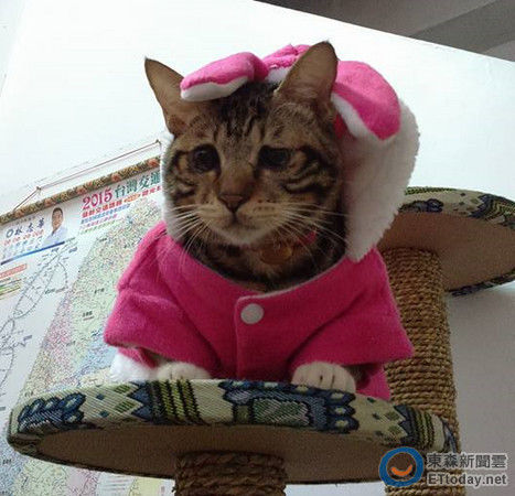 ��������ܟo�������DƬ��Դ���_(t��i)��ETtoday�|ɭ���ƾW(w��ng)վ��