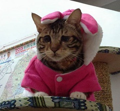 �_���F����Ę؈��:�۽�С�� ����n��