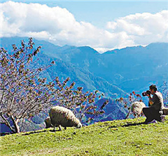 �_�u���ģ����e�r�I�愓�� �ؽ����������