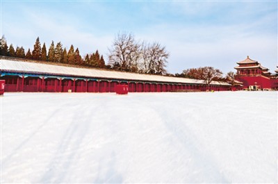 �ʌm����11�����Ϳ����Ŀ�ɰ����о����~��