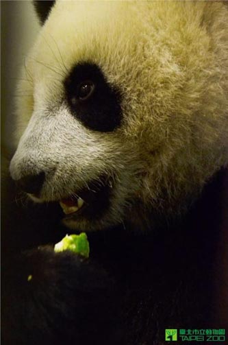 �w��ЙC�r�����A�д�С������ȡ�