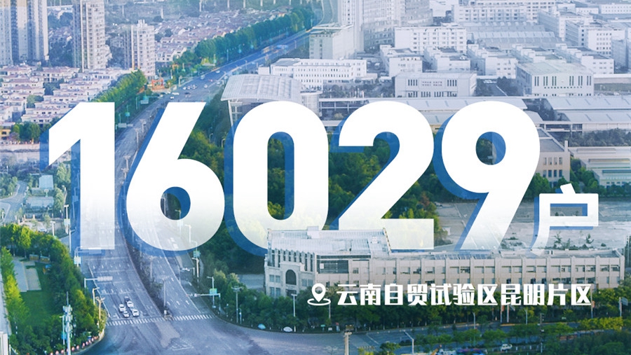 �������f�������Qԇ�^2020��