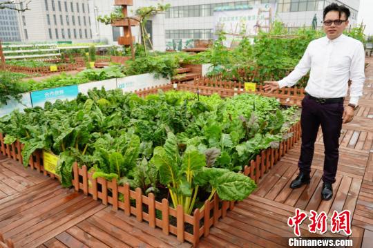 李學文2011年底來到江蘇無錫,在此間從事屋頂農場項目。 孫權 攝