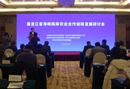 �ɰ��r�I����ʿ�R�ۺ����� �������_�r�I����Ը��