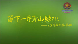 �����r��������