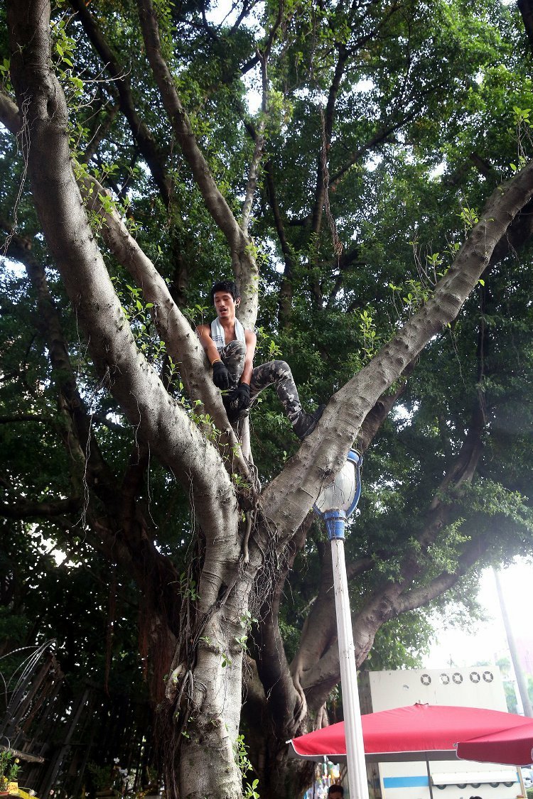 "����"�������y������ʿ���·�^"������" Ҏ(gu��)��W��