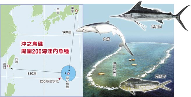 沖之鳥是島還是礁? 臺當局官員竟避答 沖之鳥是島還是礁? 臺當局官員竟避答