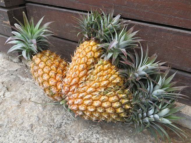 �P����rˎ�����ɳ��W��ǧ�� �{�I���̮��ֆʱM����