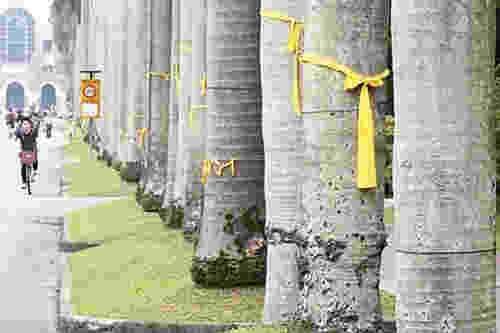 ��W(xu��)�Y�x����(zh��ng)�h