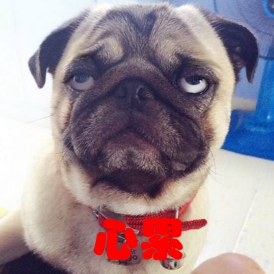 �_���������[����ӭ�����D��� �̮��֞顰ȥ�С��̉����pһ��