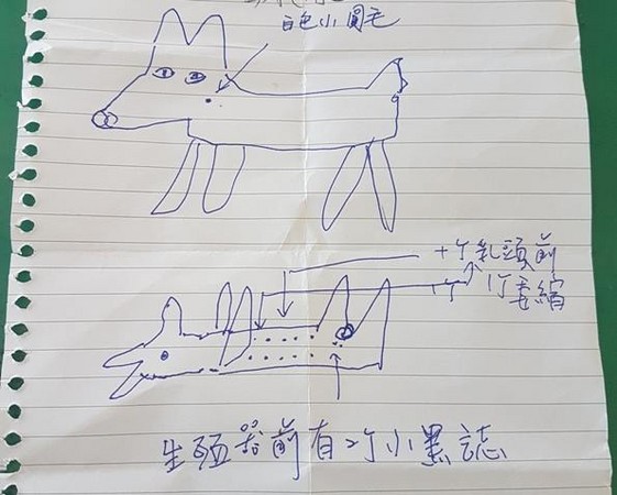 靠主人這張3點手繪神圖 警察30分鐘找回狗狗 靠主人這張3點手繪神圖 警察30分鐘找回狗狗
