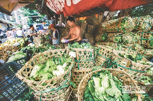臺北農(nóng)產(chǎn)頻繁休市致菜價崩盤 民進(jìn)黨“綠色執(zhí)政”成農(nóng)民受害保證 臺北農(nóng)產(chǎn)頻繁休市致菜價崩盤 民進(jìn)黨“綠色執(zhí)政”成農(nóng)民受害保證