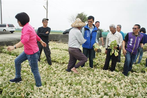 臺北農(nóng)產(chǎn)頻繁休市致菜價崩盤 民進(jìn)黨“綠色執(zhí)政”成農(nóng)民受害保證 臺北農(nóng)產(chǎn)頻繁休市致菜價崩盤 民進(jìn)黨“綠色執(zhí)政”成農(nóng)民受害保證
