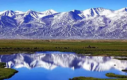 52̎�Ї�(gu��)�����缉(j��)�z�a(ch��n)��ȫ���