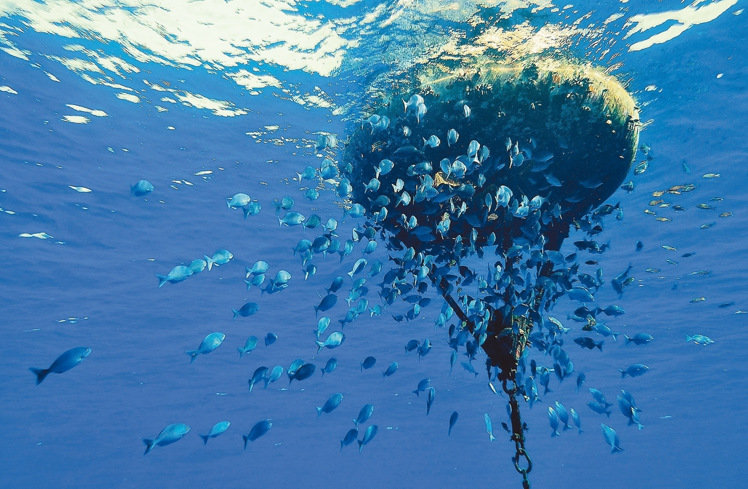 臺灣海巡隊員拍攝太平島畫面走紅 網友感嘆:如夢似幻 臺灣海巡隊員拍攝太平島畫面走紅 網友感嘆:如夢似幻