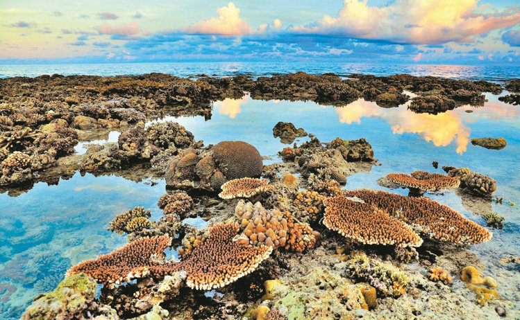 臺灣海巡隊員拍攝太平島畫面走紅 網友感嘆:如夢似幻 臺灣海巡隊員拍攝太平島畫面走紅 網友感嘆:如夢似幻