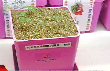 �����̵���ļo��Ʒ�V����ϲ�ۡ��DƬ��Դ���_��TVBS�ҕ�_