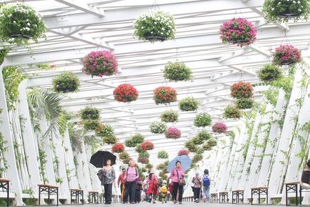 �_������15���M���_Ļ��10�죬���^�����B�Y���g�@�^(q��)�c�����@�^(q��)�Ļ�֮���������e���^���Օr��