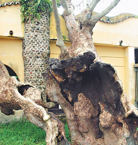 �_(t��i)��һ��160�q�Ϙ䲡�á�Ƥ���ǡ����ғ���