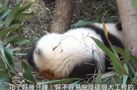 ٛ�_����؈�����ЌW�������ű����T�񋌋����D��