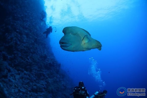 �lΣ��������ϲ�ۗ�Ϣ��ɺ��������