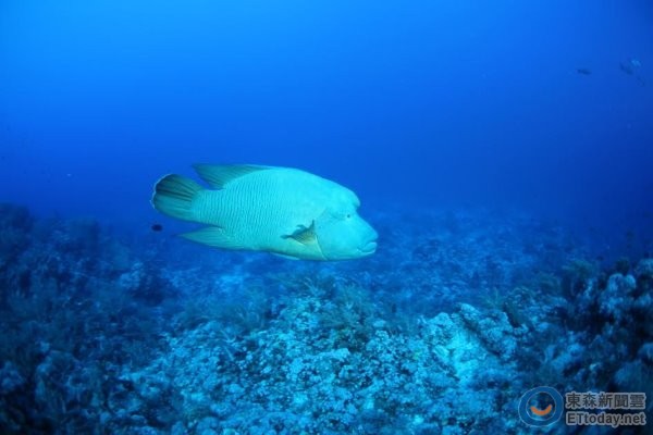 �lΣ��������ϲ�ۗ�Ϣ��ɺ��������