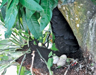 ĸ�u�w������������񱊇K�K�Q�棨�D��