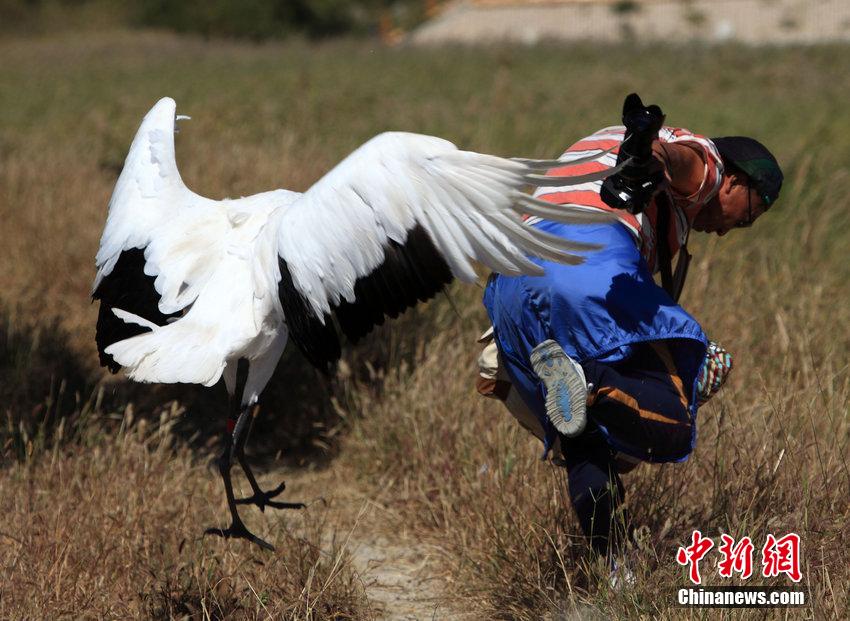 �ο���Ұ������Q���u �ǪN�ӸZ�U������