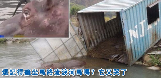 �_(t��i)�����R��܇�܂����ٴ�ˤ���܂�(�D)