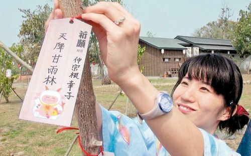 臺灣地區(qū)面臨嚴重旱災 20對情侶種樹祈福盼降甘霖 臺灣地區(qū)面臨嚴重旱災 20對情侶種樹祈福盼降甘霖