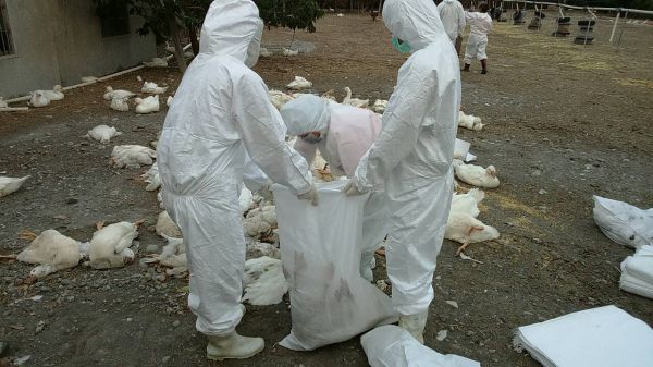 ��ⲻ�����û��h���������𡣣��DƬ��Դ���_���ЏV���W��