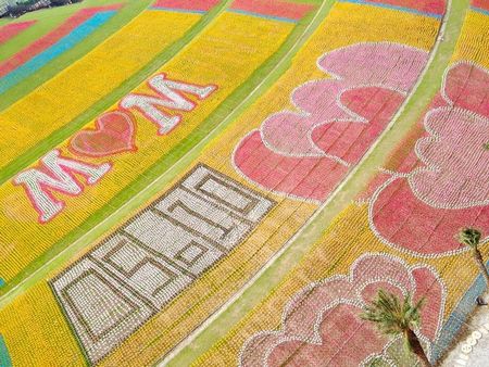 為迎接母親節,位于基隆的擁恒文創園區,以12萬支風車拼成巨幅康乃馨地景 為迎接母親節,位于基隆的擁恒文創園區,以12萬支風車拼成巨幅康乃馨地景