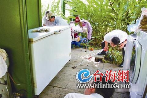 �G�P�����F�Ʊ����� ���l�_��������h(�D)