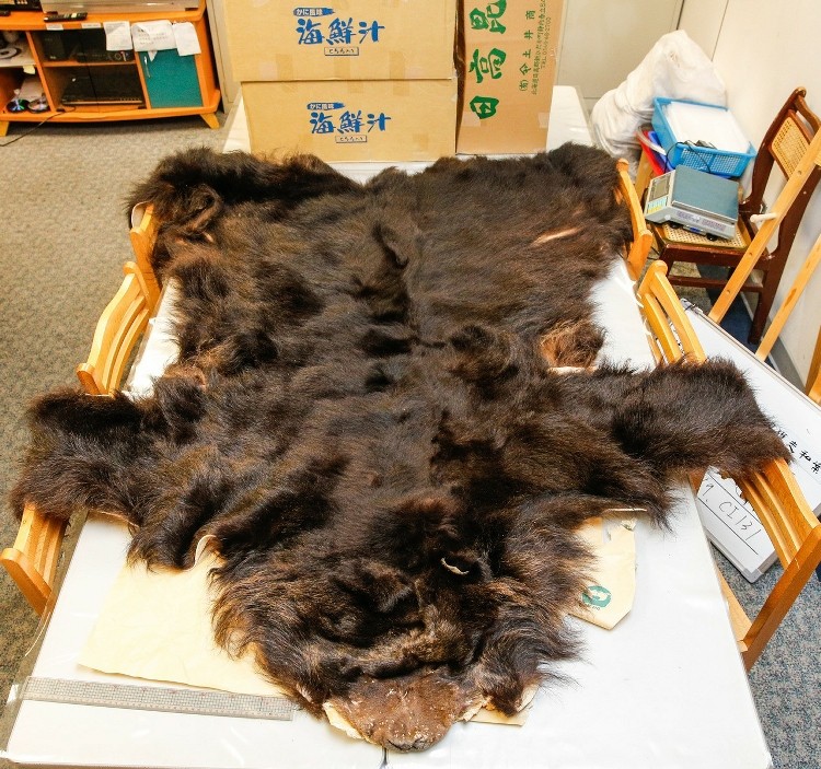 �_���I(l��ng)�(du��)���ձ���˽����������Ƥ