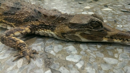 ��������l(f��)�F��������܇��һ�վ��ǡ��{�~�����D��