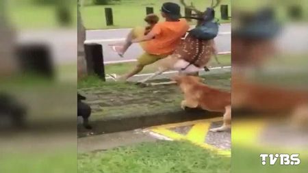 墾丁傳出梅花鹿傷人意外初中生被撞倒受傷(圖)